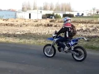 En roue et en stopie