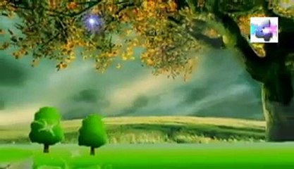 soñar que tu matas a un pelicano significado de los sueños español latin