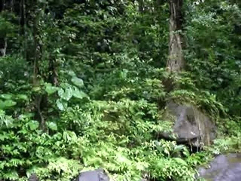 Guadeloupe