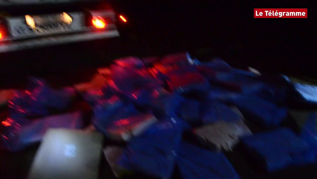 Finistère. Opération commando des producteurs de porc