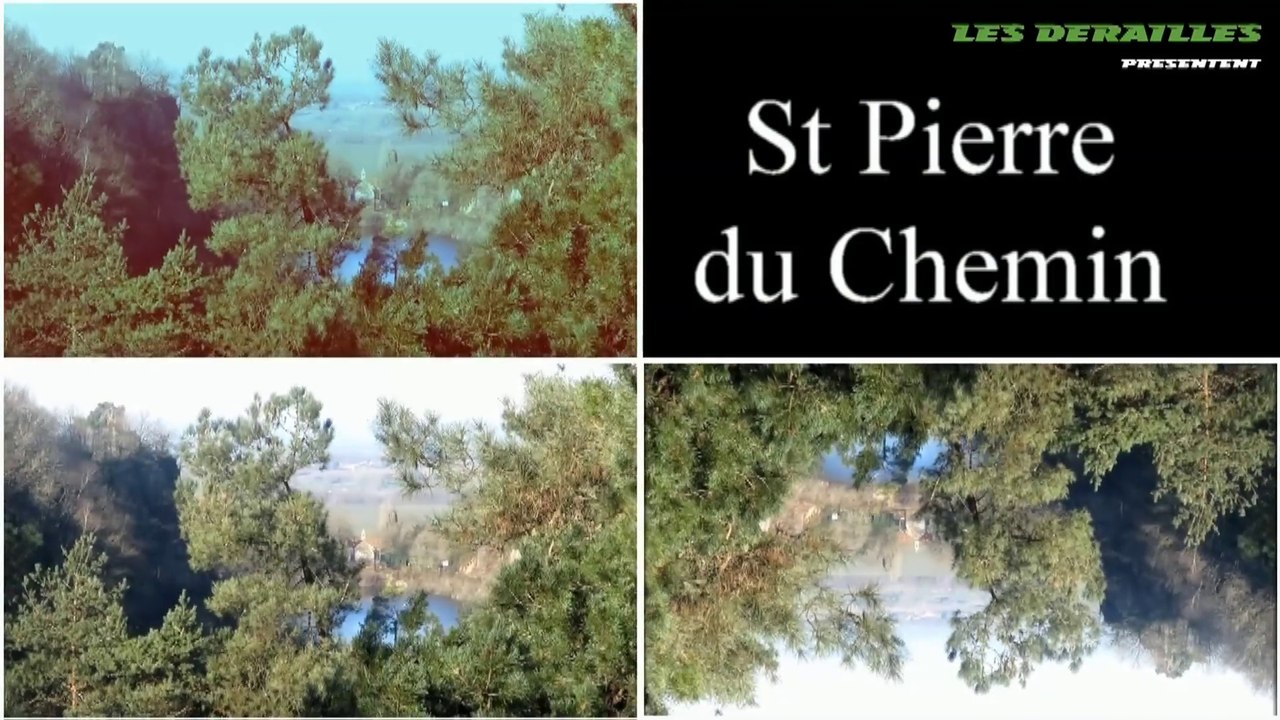 ST PIERRE DU CHEMIN - 2015