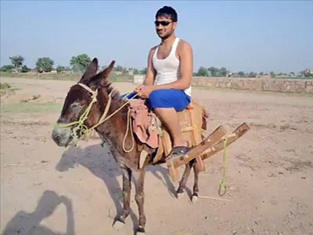Koti Rari (The Cart and Donky ) Hahaha