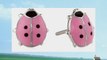 Sterling Silver Children's Pink and Black Ladybug Earrings