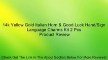 14k Yellow Gold Italian Horn & Good Luck Hand/Sign Language Charms Kit 2 Pcs Review