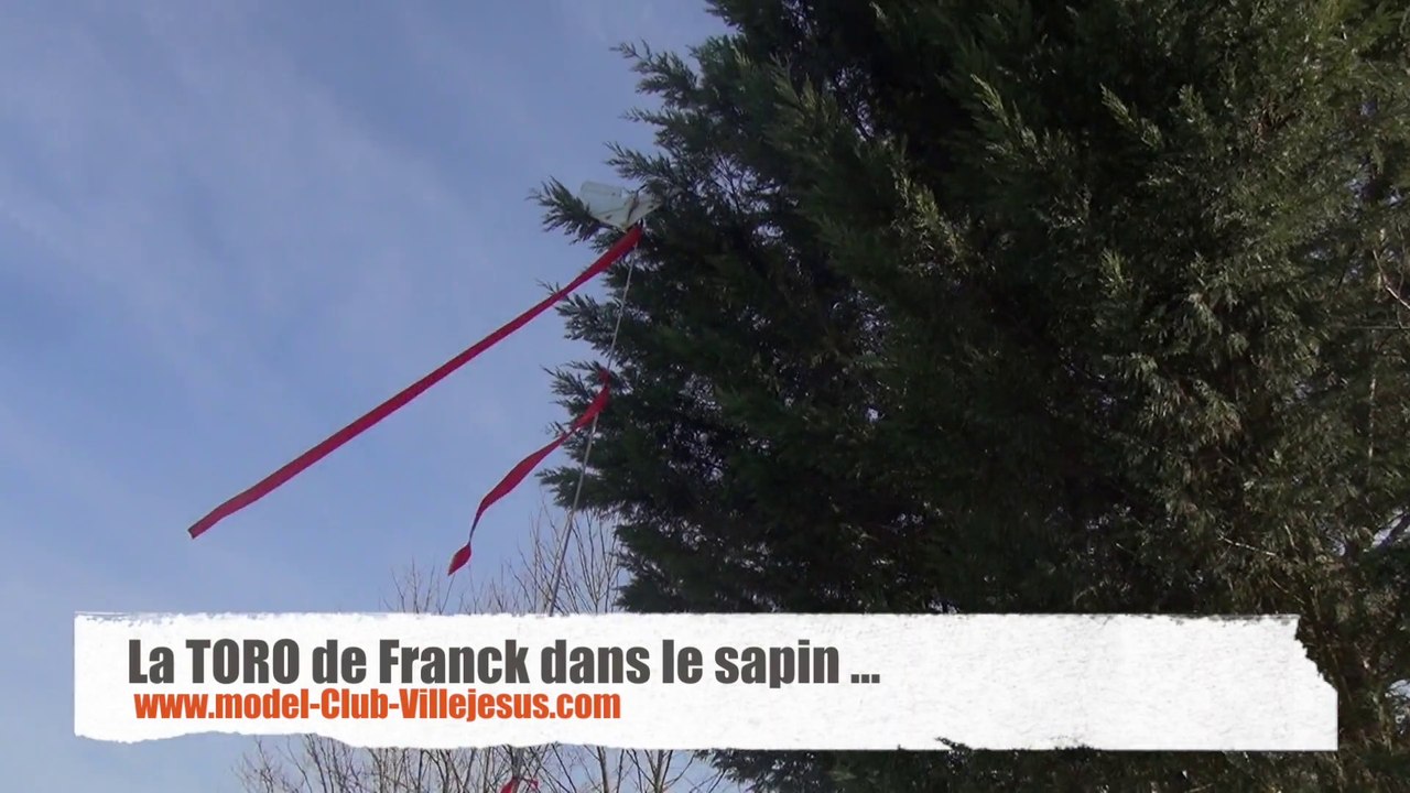 Paff le sapin ... 08/03/2014