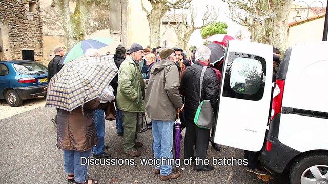 Truffles in Provence 2.4 - Richerenches market