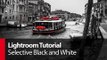 Lightroom Tutorial: Selective Black and White - PLP # 14 by Serge Ramelli