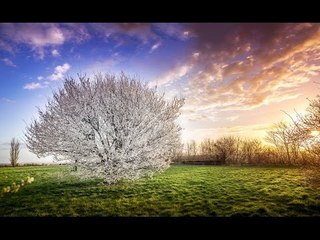 How to Stitch Multiple Exposures using Lightroom and Photoshop - PLP #101 by Serge Ramelli