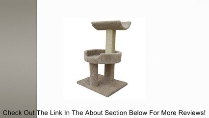 Window Cat Perch Color: Gray Review