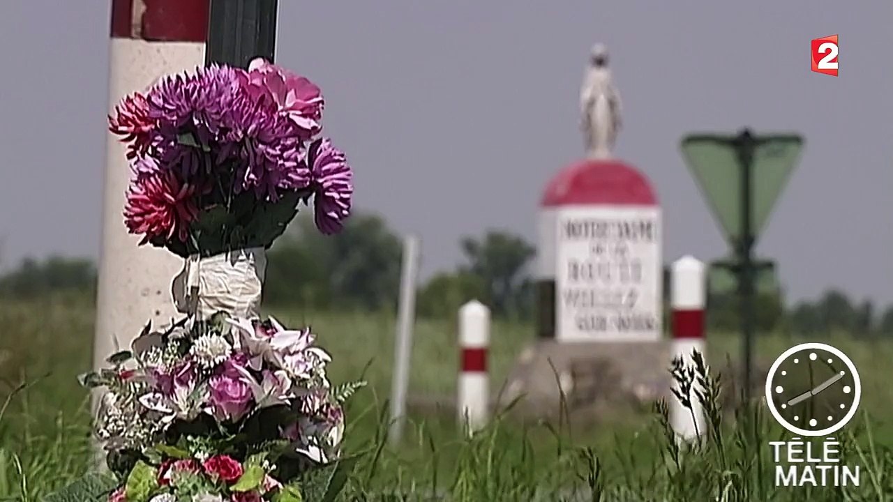 Les platanes sont un risque pour la sécurité routière