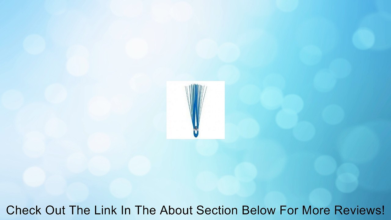 StakeChasers, 6", 1000 Pc. Box (Blue) Review