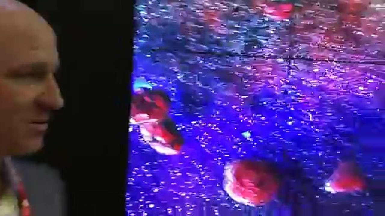 ISE day two video 7