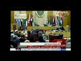 العربي: نحتاج معاهدة الدفاع العربي المشترك لمواجهة الارهاب
