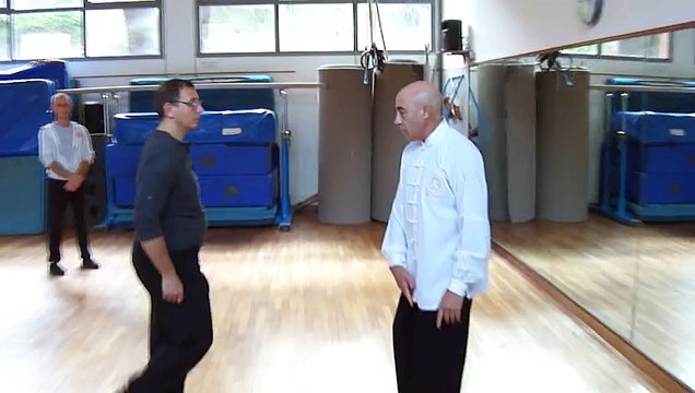 I SEGRETI DEL TAIJI QUAN: COME GENERARE IL POTERE MARZIALE - M° FLAVIO DANIELE