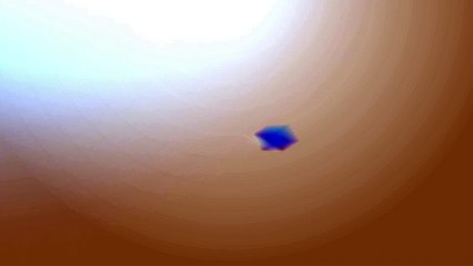 Tappatadugu Movie Trailer 1 - Surya Teja, Naveena Jackson