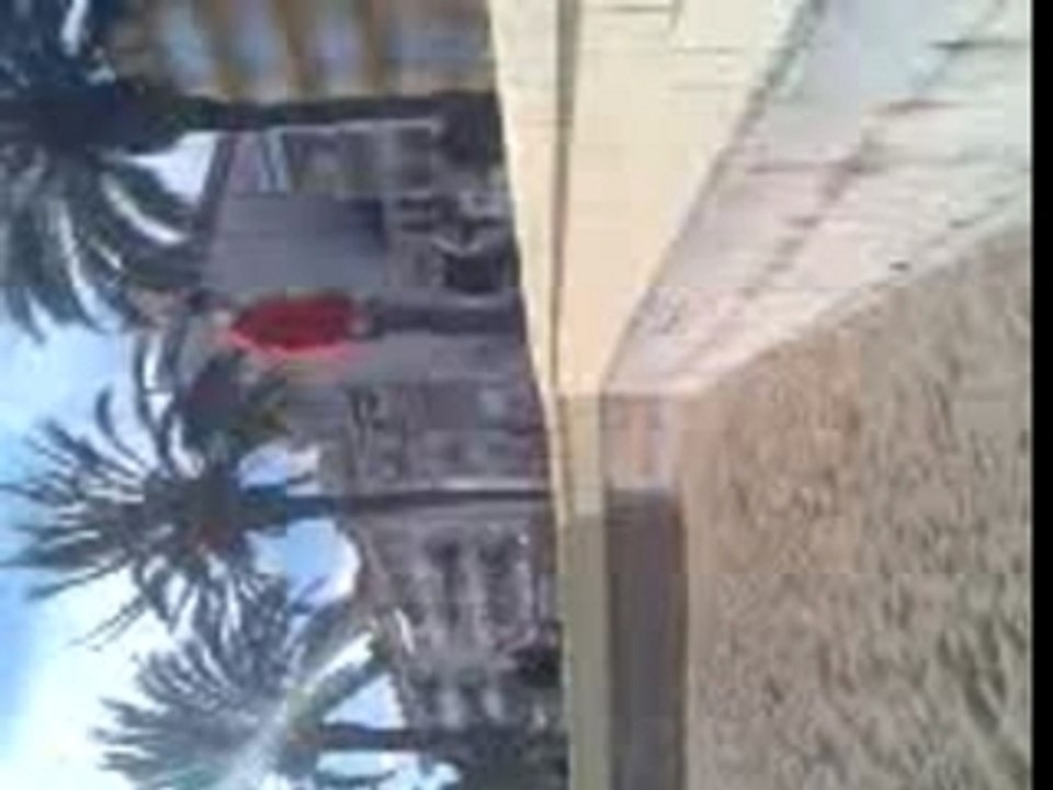 BackFlip