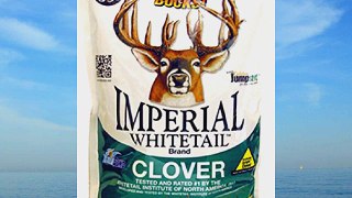 Whitetail Institute?? Imperial Whitetail Clover 18 - lb. bag