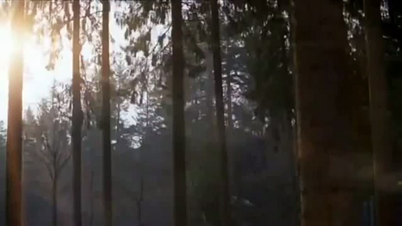 Pub - Mercedes E-Class