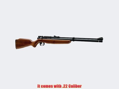 Crosman Benjamin Discovery Pre-Charged Pneumatic PCP Dual Fuel .22 Cal Air Rifle