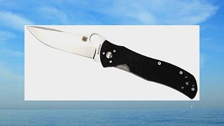 Spyderco Starmate G-10 Plain Edge Knife Black