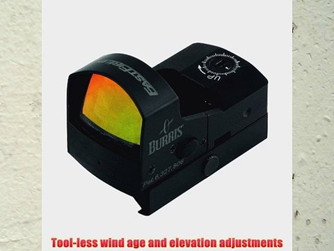 Burris 300234 Fastfire III with Picatinny Mount 3 MOA Sight (Black)