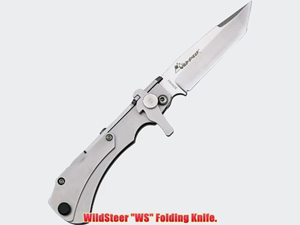 WildSteer WS Folding Knife.