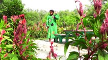 Ali Safdar - Aaja Tainu Haal Main Sunawan Dil Da
