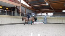 Essai horseCom Damien de Chambord - Pôle international du Cheval de Deauville (14)