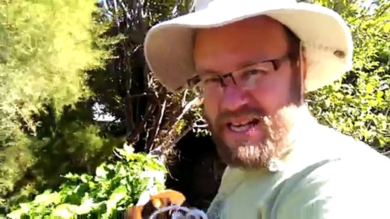 Utiliser son chien pour récupérer une balle dans le jardin du voisin!