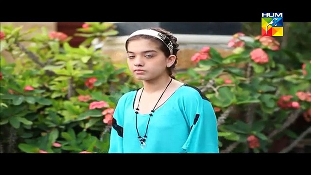 Choti Si Ghalat Fehmi Episode 29 on Hum Tv in High Quality 9th March 2015