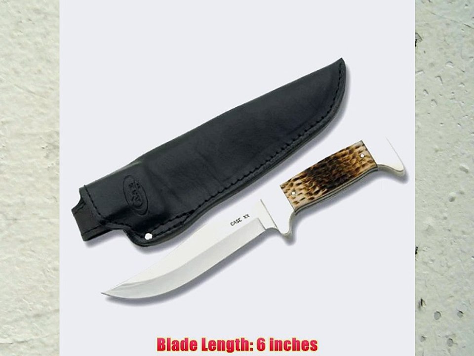 Case Knives 3767 772-6 SS Pattern Utility Fixed Blade Knife with Peach Seed Jigged Amber Bone