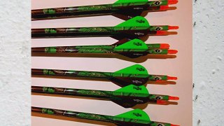 Gold Tip XT Hunter 5575 Carbon Arrows w/Blazer Vanes Blaze Wraps 1Dz.