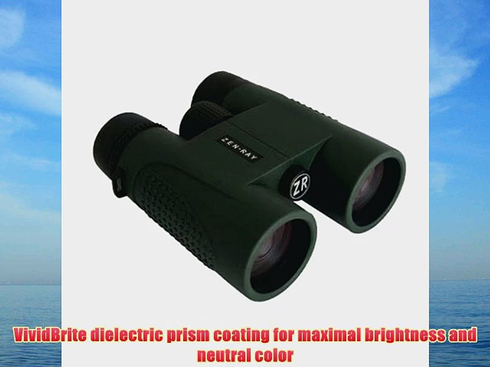 2010 ZRS HD 8x42 Binoculars