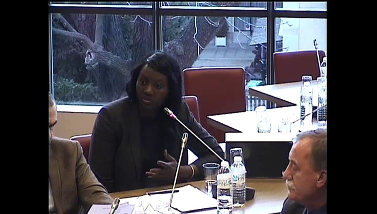 Seybah Dagoma - Audition de M. Laurent Fabius, Ministre des Affaires étrangères et du développement international, le 4 mars 2015