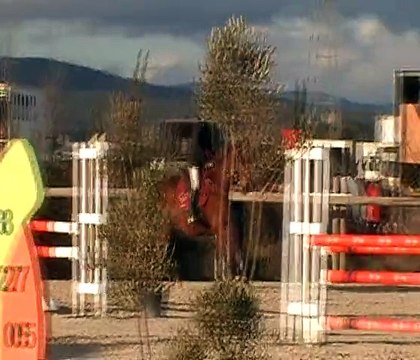 Tiffany et Mosco d'Airy, Lézi Jump 4, 9 février 2015, Club 1