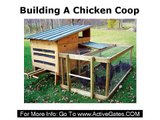 Building A Chicken Coop - How to Build Cheap Chicken Coops