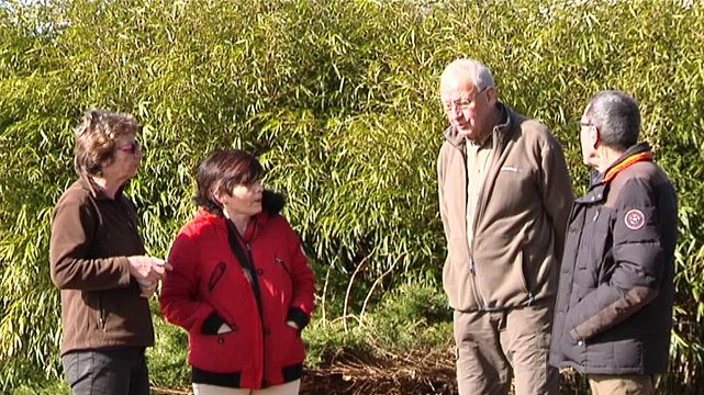 Heel Groningen in de ban van de wolf - RTV Noord