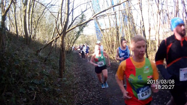 LES FOULEES de LOUVROIL 2015