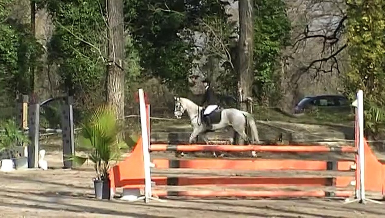 CSO Montélimar le 08.03.2015 - Prépa 95cm