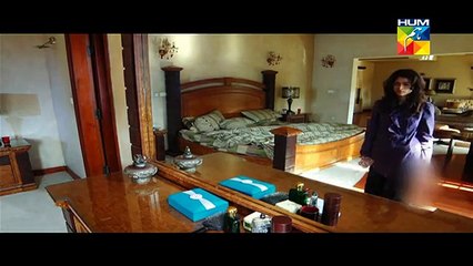 Aik Pal Episode 16 Full 9 March 2015 Hum TV Part 1