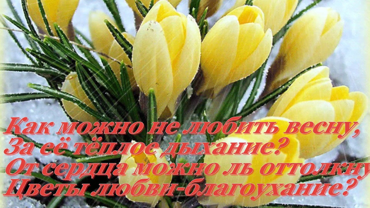 Противостояние. Весна и любовь!