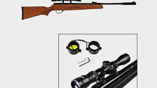 Hatsan 95 Air Rifle Combo Walnut Stock air rifle