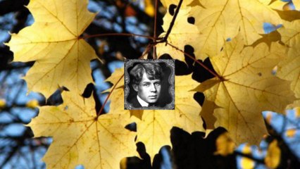 Клен ты мой опавший.