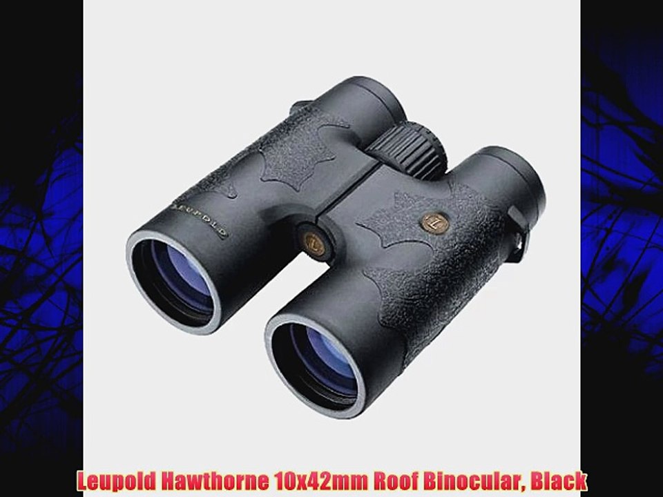 Leupold Hawthorne 10x42mm Roof Binocular Black