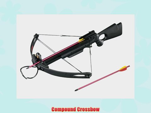 Mk-250 Compound Crossbow Brand New Powerful Bow