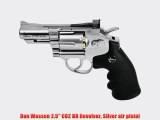 Dan Wesson 2.5 CO2 BB Revolver Silver air pistol
