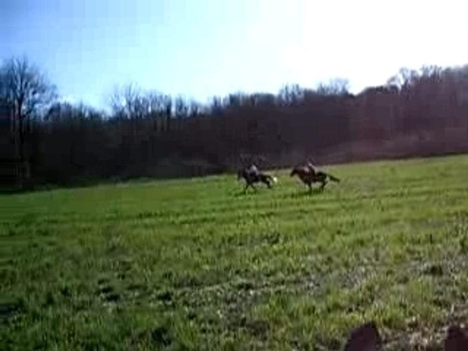 Course dans les champs