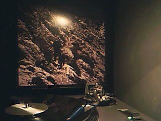 Ved - Din egen spegelbild 12"