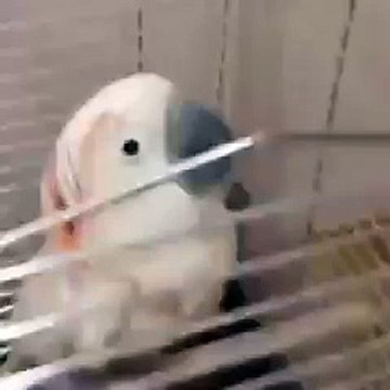 100 РАЗ СМОТРЕЛ(А) И ВСЕ РАВНО РЖУУУ!))))