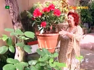 Meray Baba Jan - Episode 151_clip0